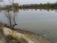 /album/fotogaleria-eszter-carp/a5-jpg5/