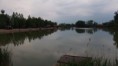 /album/fotogaleria-carp-paradise/a2-jpg8/